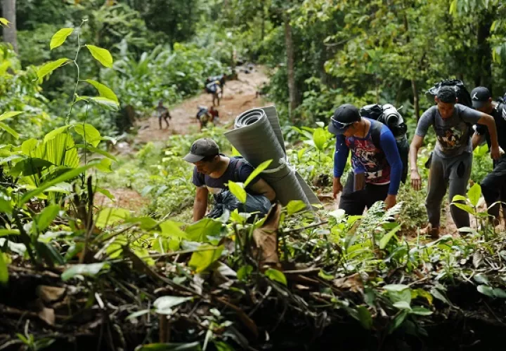 Más de 300,000 migrantes han atravesado este año el Tapón del Darién. Foto: EFE