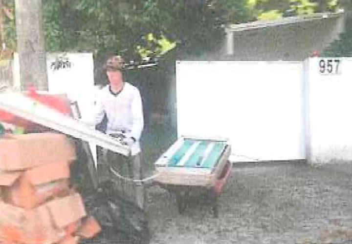 seguridad_0.jpg