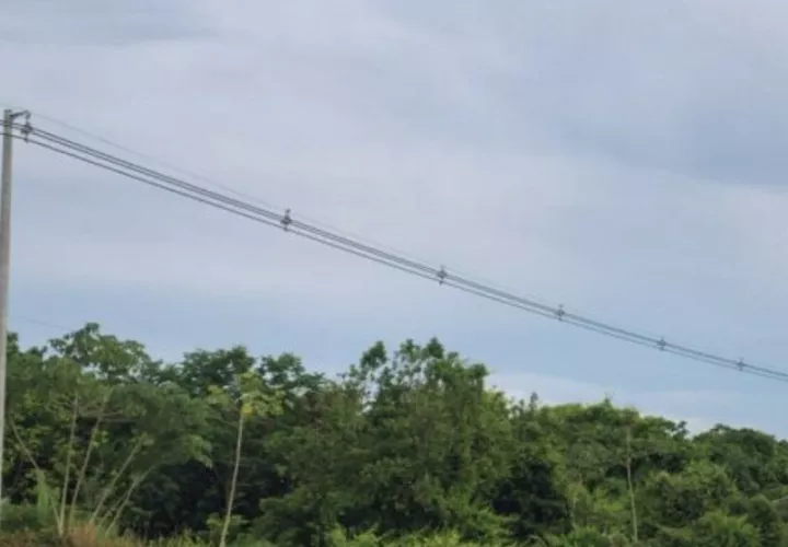  Los restos de una cometa entraron en contacto con la línea eléctrica. Foto: T