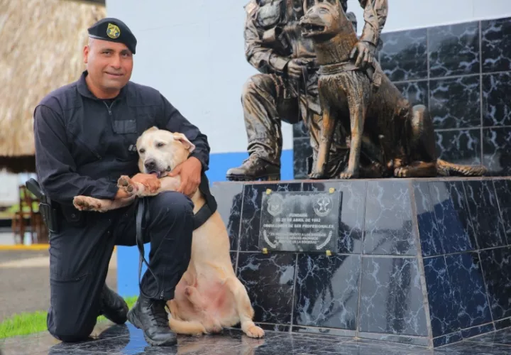 Roy forma parte de la Unidad Canida de la Policía. Foto: Cortesía