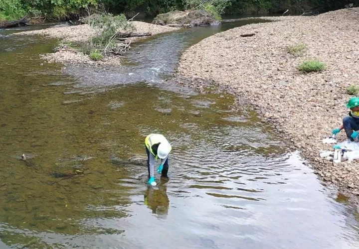    Colaboradores tomando muestras de los ríos dentro del área de concesión. Foto/Tomada de cobrepanama.com