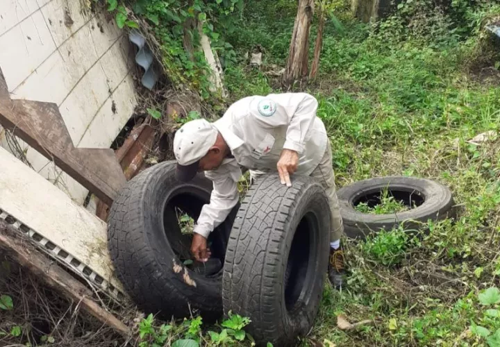 Minsa mantiene operativos de eliminación de criaderos a nivel nacional. Foto: Cortesía