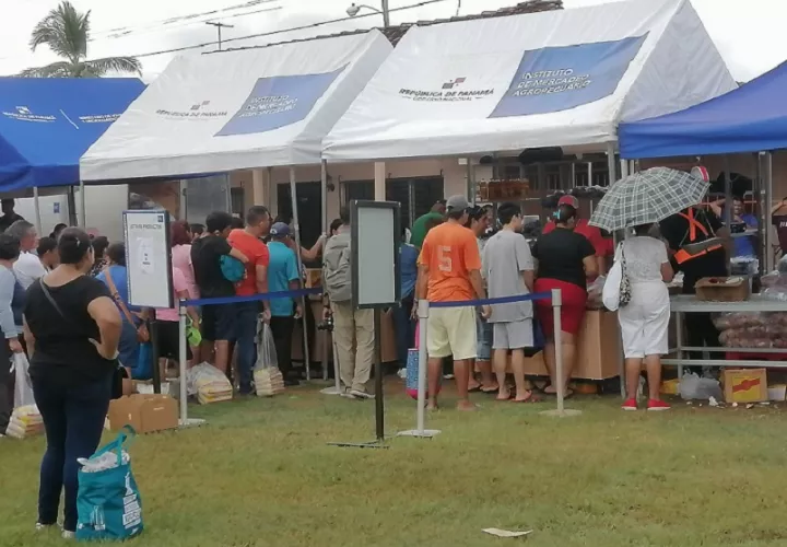 El director del IMA indicó que los puestos de venta serán en áreas de acceso público. Foto: Thays Domínguez.