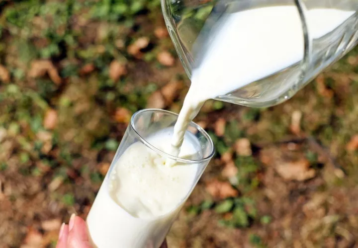 Vaso de leche. Foto: Ilustrativa/Pixabay