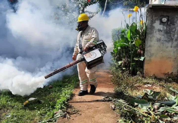 Mientras que para la semana epidemiológica N°41 se actualizan 2 muertes por dengue. 