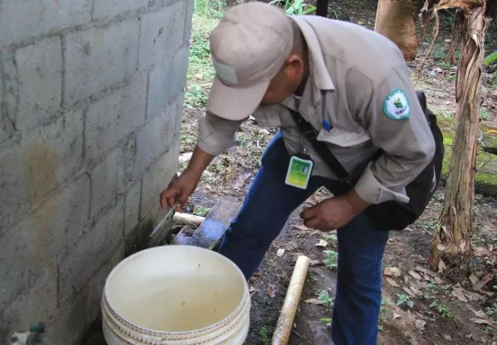 Minsa recomienda eliminar los criaderos de mosquitos. Foto: Cortesía