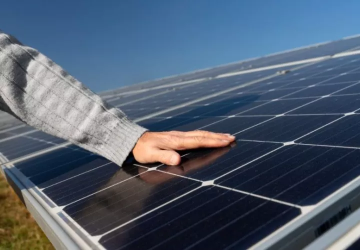 Paneles solares. Foto: Freepik