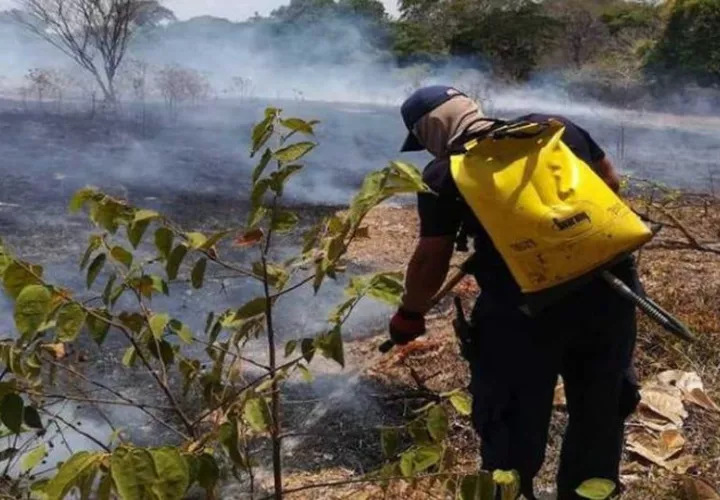 El 99% de los incendios de este tipo son a causa del descuido o mala intención humana. Foto: Cortesía.