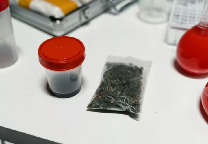 Es recomendado para pacientes con enfermedades crónicas. Foto ilustrativa