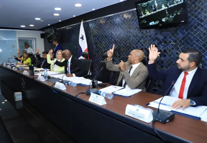Votación de los miembros de la Comisión. Foto: Cortesía