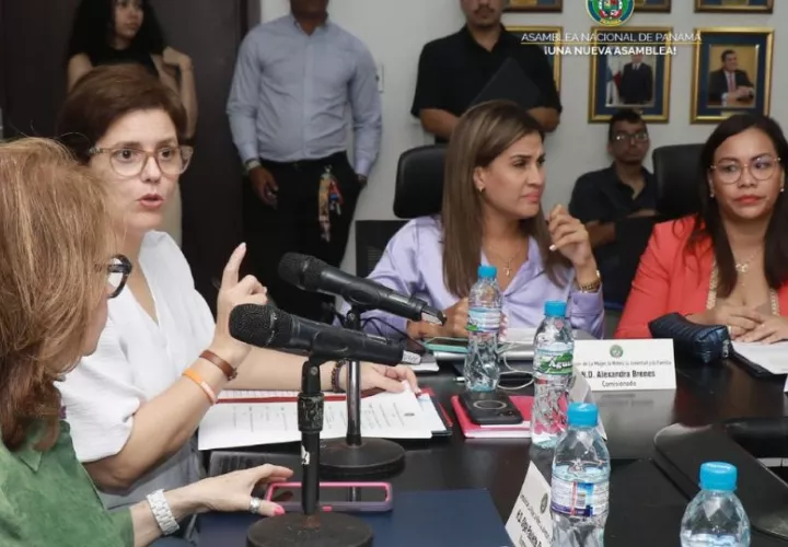 Comisión de la Mujer, la Niñez, la Juventud y la Familia de la Asamblea Nacional. Foto: Cortesía