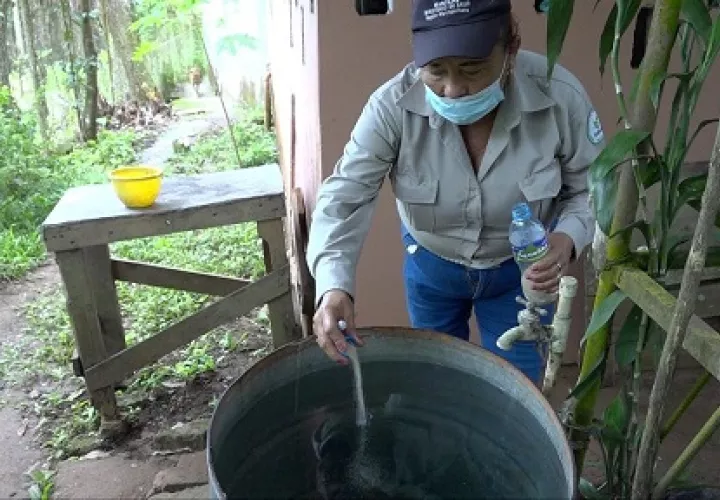Esta enfermedad se transmite a los seres humanos por la picadura de mosquitos hembra del género Anopheles. Foto: Cortesía
