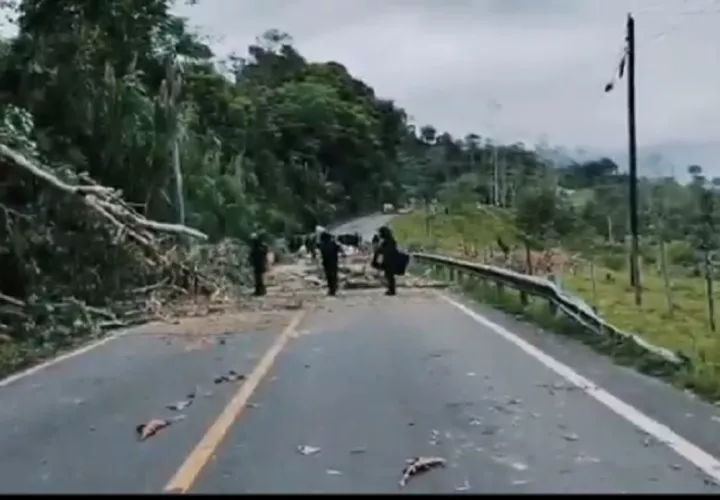 Para poder despejar las calles han tenido que quitar árboles, ramas, troncos y hasta postes del tendido eléctrico. Foto. Policía Nacional