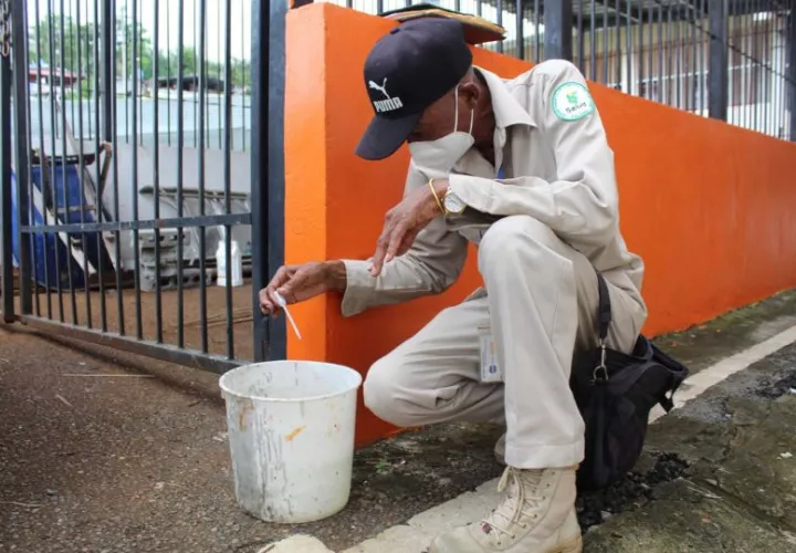 Hay que eliminar todos los recipientes que puedan acumular agua. Foto: Cortesía