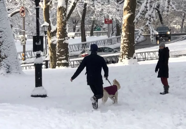Personas pasean un perro en el parque Riverside, en el Upper West de Nueva York (EE.UU.).  Foto: EFE / Javier Otazu