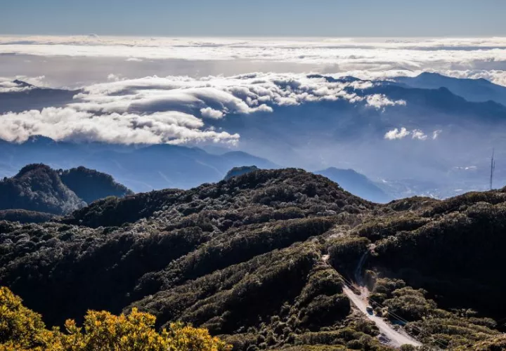 Las áreas protegidas tienen un papel vital para la conservación de la biodiversidad nacional. Foto: Cortesía