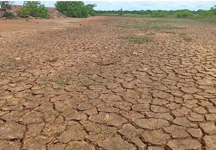 Este sitio es parte del Área Protegida Sarigua y representa no solo un tesoro ecológico, sino también una oportunidad para el crecimiento económico y cultural de la región.  Foto. Melquíades Vásquez