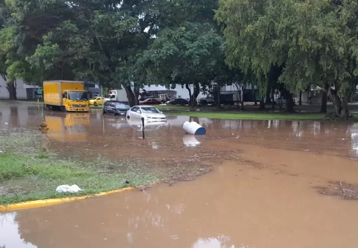 sinaproc_-_lluvia_1.jpg