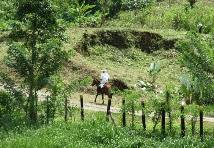  Los concejales de Capira apuestan por el desarrollo que implica para el distrito la construcción de la línea férrea y una estación. Foto: Eric Montenegro