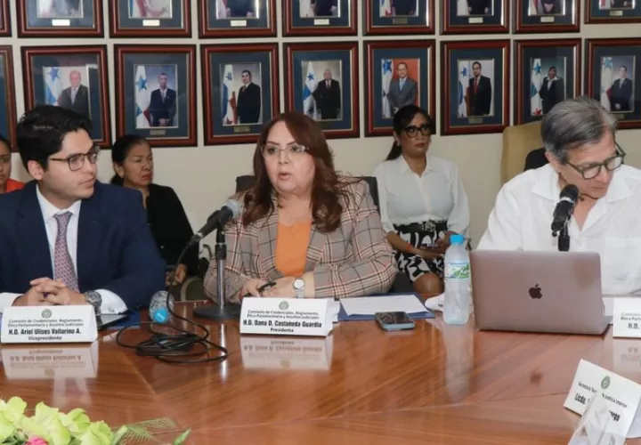 Comisión de Credenciales de la Asamblea Nacional. Foto: Cortesía