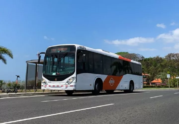 metrobus-transporte_0.jpg