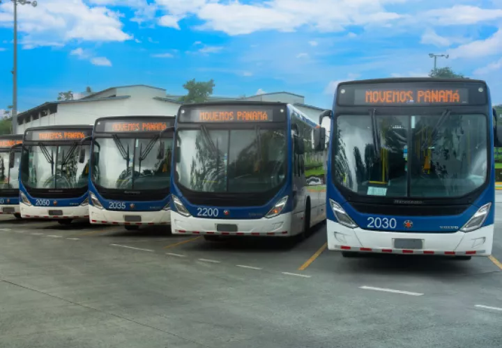 MiBus cuenta actualmente con 1,436 unidades de transporte colectivo. Foto: Cortesía