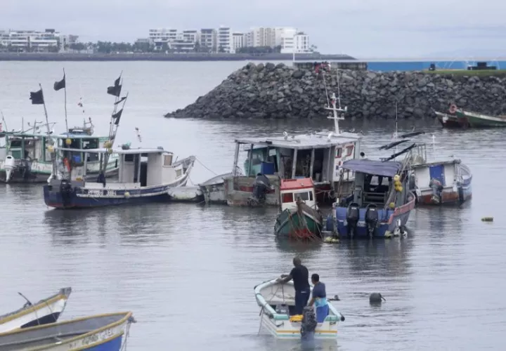 Pescadores trabajan en un muelle. Foto: EFE