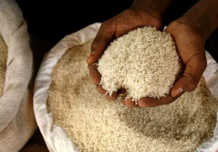 Se trataba de 1,031 sacos de arroz. Foto: Archivo