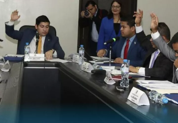 Comisión de Educación, Cultura y Deportes. Foto: Cortesía