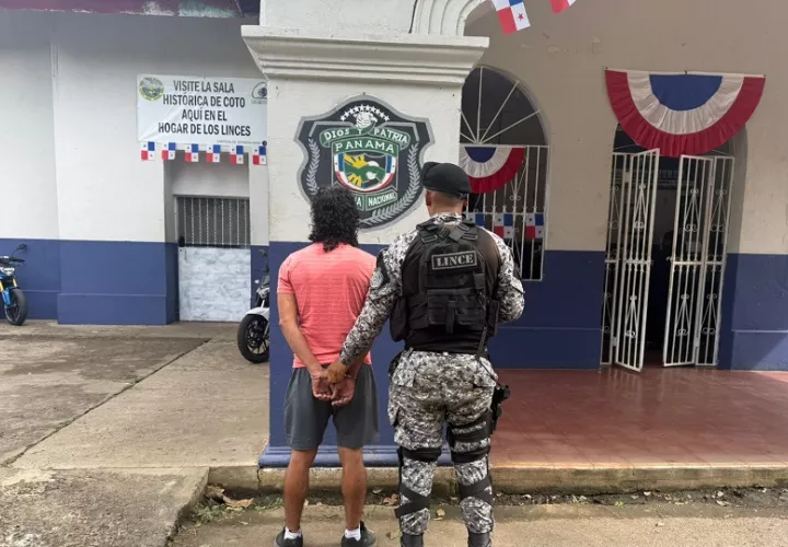 Durante el Plan Firmeza, en las últimas horas, las unidades de la Policía Nacional aprehendieron a 232 personas en todo el país. Foto. Policía Nacional