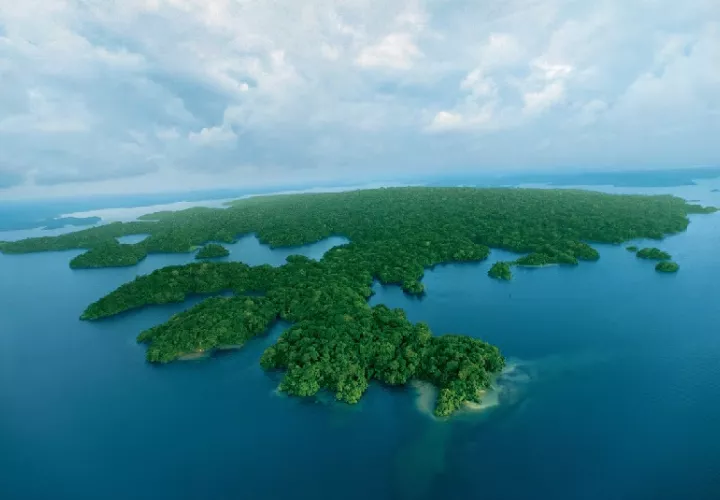 Una isla como Barro Colorado podría haber en Río Indio. Foto: Cortesía