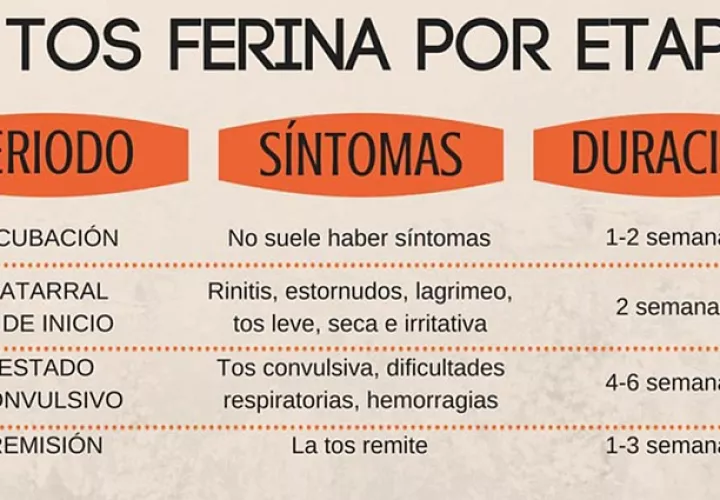 Comportamiento de los síntomas de la tosferina por etapas. Foto: Internet