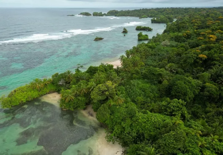 Isla Escudo de Veraguas Degó se mantiene en recuperación. Foto: Cortesía/MiAmbiente