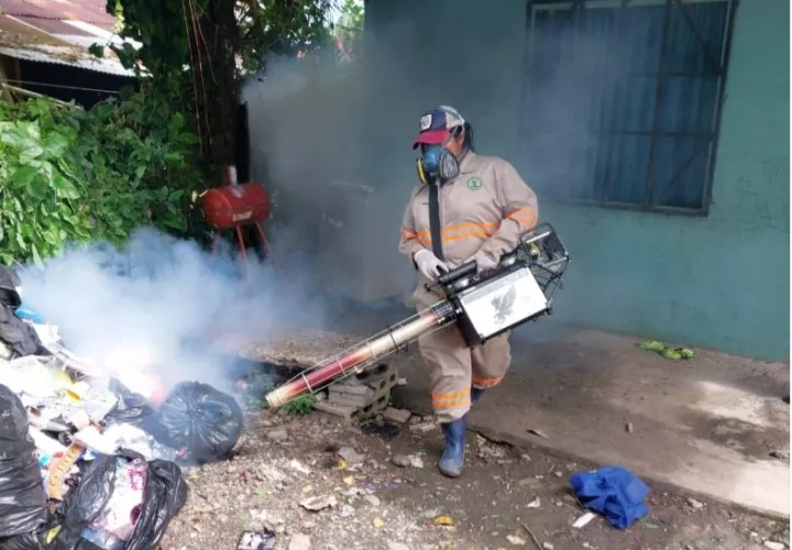 El Minsa seguirá intensificando los operativos en todo el país a través del equipo de control de vectores para reducir los casos de dengue.  Foto: Cortesía