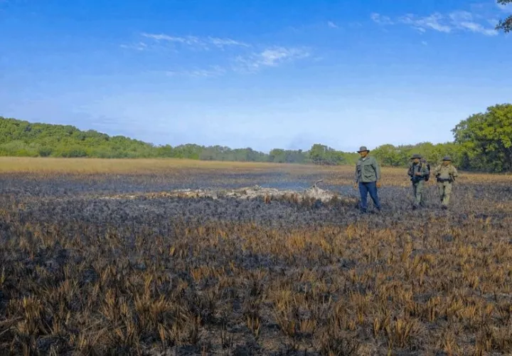 Se detectaron incidentes relacionados con incendio de masa vegetal. Foto: Cortesía
