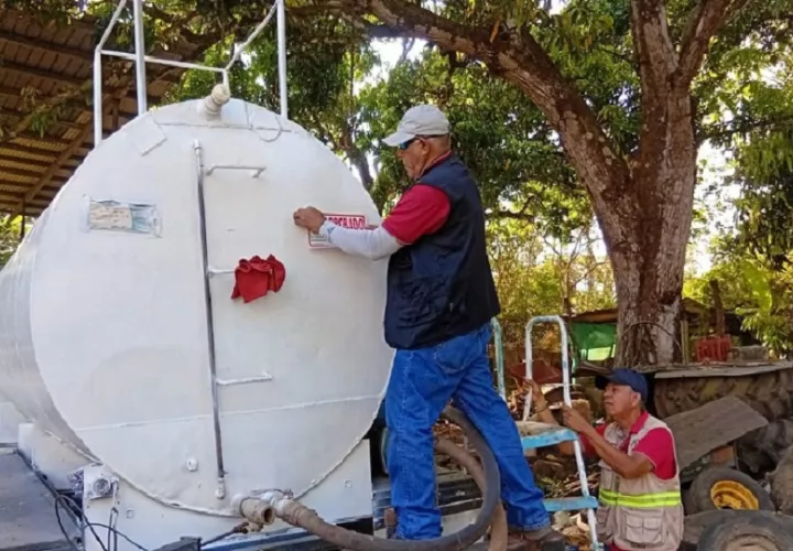 Las autoridades reiteraron que estas acciones buscan garantizar un desarrollo ordenado y seguro de los culecos, asegurando la disponibilidad del recurso y el cumplimiento de las normas ambientales. Foto. Thays Domínguez