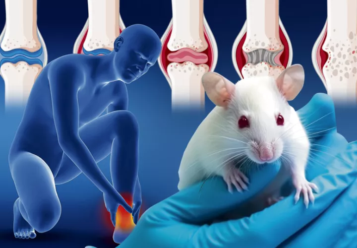La ciencia encontró el 'botón' que inicia la destrucción y la forma de apagarlo. Foto: Ilustrativa / Freepik
