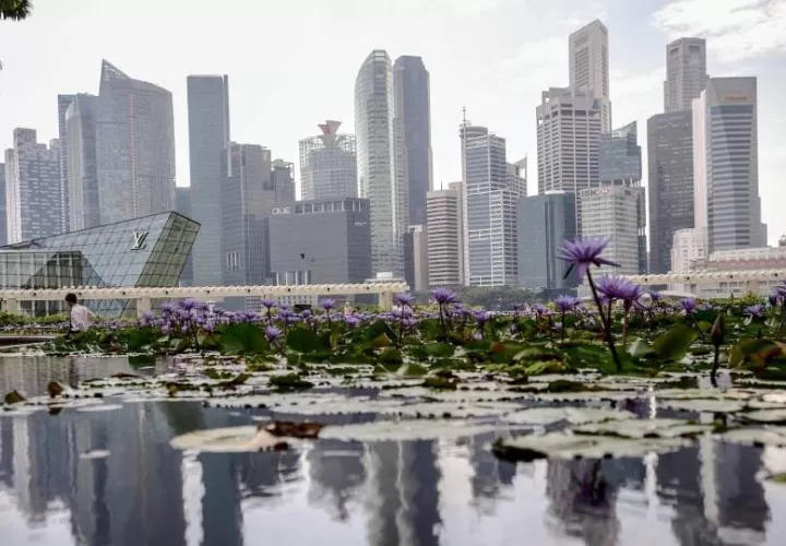 singapur_ahoracamiento_drogas_0.jpg