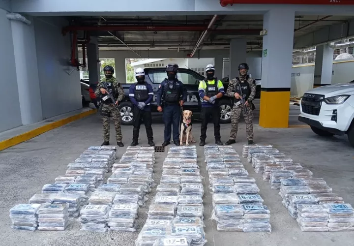 El hallazgo se produjo tras labores de inteligencia, perfilamiento y verificación de la carga, lo que permitió a las autoridades detectar irregularidades. Foto. PN