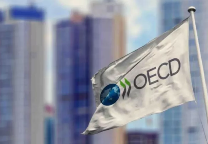 Organización para la Cooperación y el Desarrollo Económicos (OCDE).