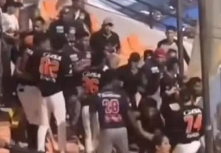 Trifulca en las gradas entre peloteros y fánaticos.Captura: @Deportesypunto