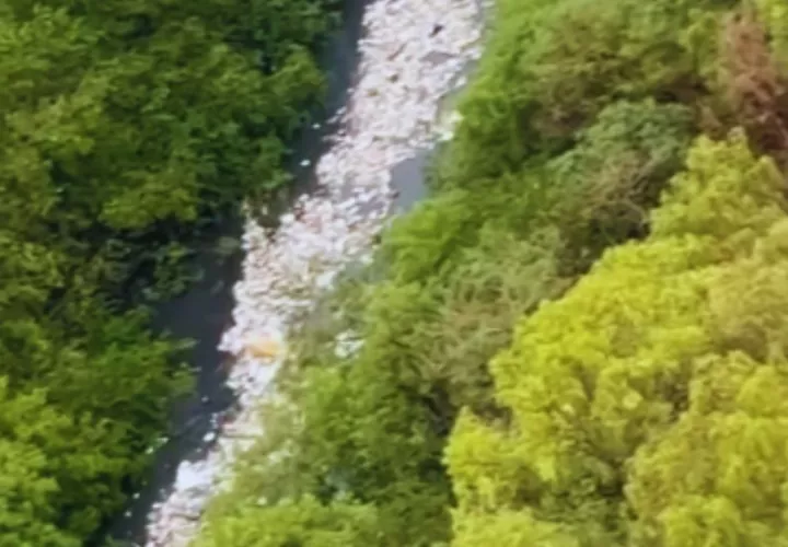 El río Matías Hernández arrastra una gran cantidad de basura. 