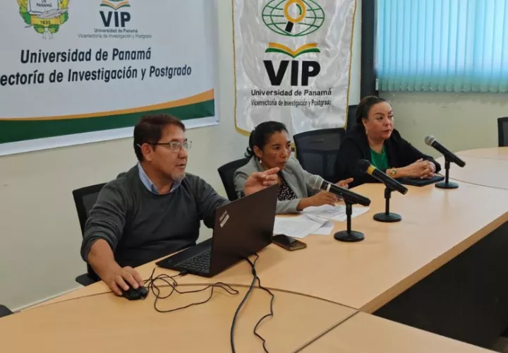 El estudio identifica además fuertes brechas sectoriales y territoriales. Foto: Cortesía