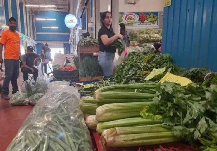 Proceso histórico de certificación de buenas prácticas agrícolas.
