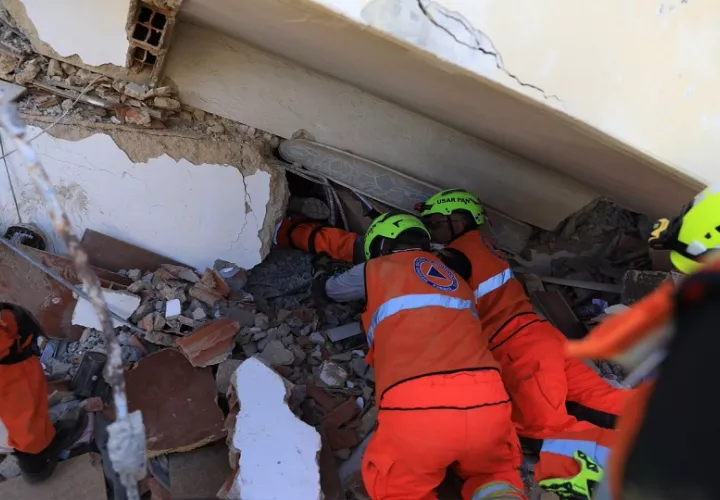 Las 12 unidades se mantienen en buen estado de salud. Foto: Cortesía