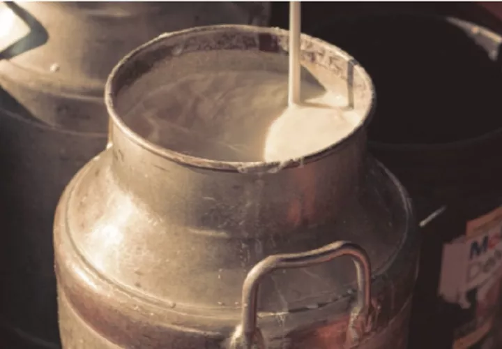 Los productores de leche se han visto afectados en los últimos años y este sería un nuevo golpe. Foto ilustrativa