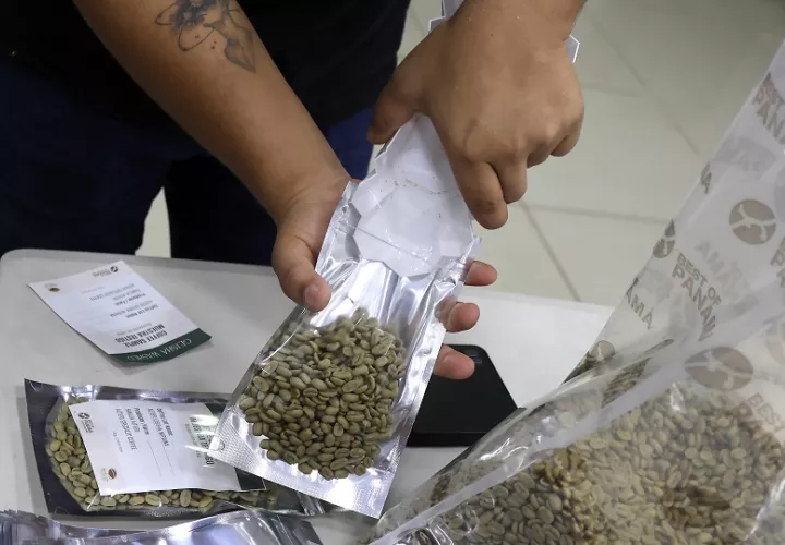 Panamá produjo cerca del 50 % de lo que normalmente produce. Foto: EFE