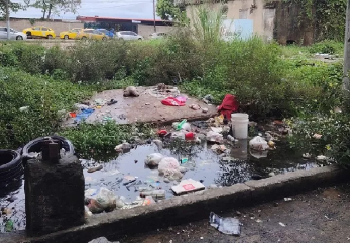 Las autoridades le reiteran a la población la importancia de mantener los alrededores de sus viviendas limpios y libres de desechos que puedan acumular agua.
