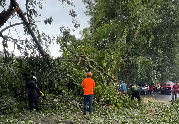estragos-del-clima_0.jpg