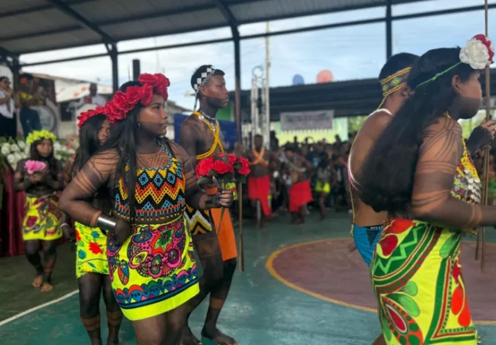 El Festival de la Paruma celebrará su cuarta edición. Foto: Cortesía